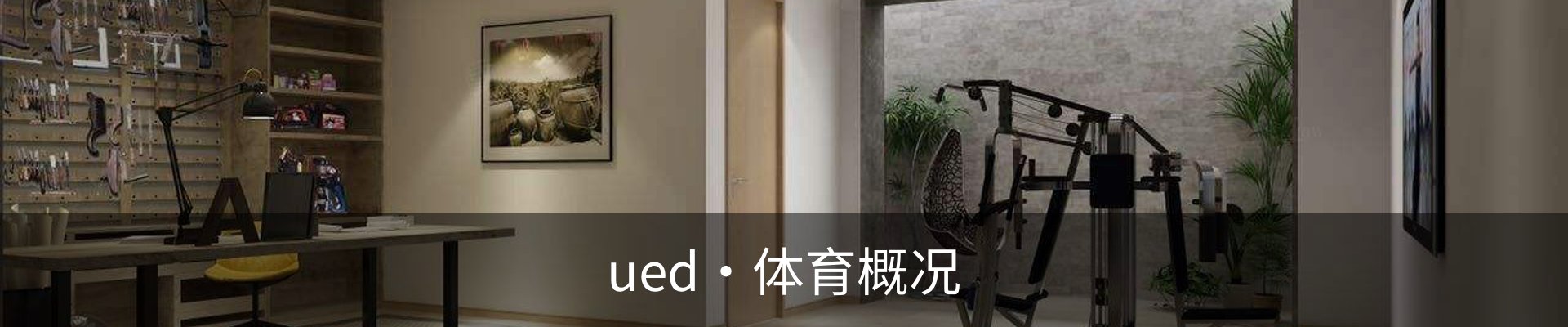 ued·体育概况
